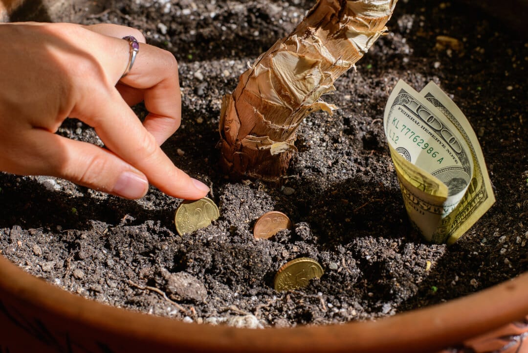 Contabilidade para Agronegócios e Agropecuári - Métricas Contábeis